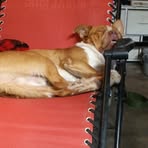 Sally Walker - Facebook