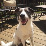 Sally - @_sally_wally_ - Instagram