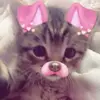Sally_wally126 - @sally_wally126 - TikTok