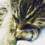 sally wally - @sallywally3842 - Instagram
