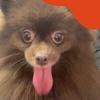 sally wally - @sally.wally46 - TikTok