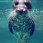 Sally Wally - @sally.wally456 - Instagram