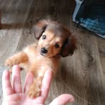 Sally Walton - @sallywalton60 - Instagram