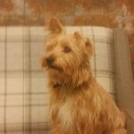 sally ware - @sally.ware11 - Instagram