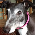 Sally Wareing - @wareingsally - Instagram