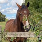 Sally Warner - @sally.warner.54738 - Instagram