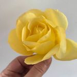 Sally Warner - @sally.warner.9 - Instagram