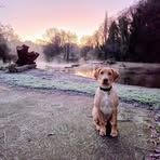 Sally Bull - Facebook