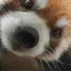 salty_waterfall - @salty_waterfall - TikTok