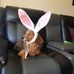 Sally Way - Facebook