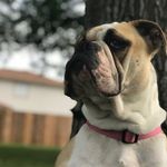 Sallywechsler - @sallywechsler2 - Instagram