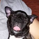 Sally Weedon - @weedonsally - Instagram