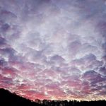 Sally Weimerskirch - @sallyweimerskirch - Instagram