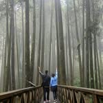 Sally Weng - @ieng0416 - Instagram