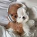 Sally Weng - Facebook