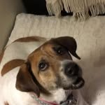 Sally Wertz - @sally_wertz - Instagram
