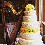 Sally Whitaker - @sally_whitaker_harpist - Instagram