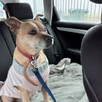 Sally Whitaker - Facebook