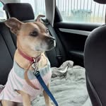 Sally Whitaker - @sallywhitaker9268 - Instagram