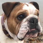 Sally Whitaker - @sallywhitaker44 - Instagram