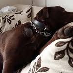 Sally Whitlock - @whitlocksally - Instagram