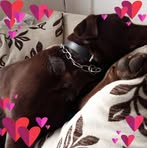 Sally Whitlock - Facebook