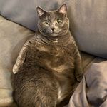 Sally Wiggins - @sallythechunk - Instagram