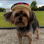 sally wiggins - @sallys.w0rld - Instagram