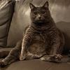 Sally Wiggins - @sallythechunk - TikTok