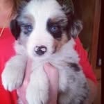 Sally Wilde - @haltergirl_2 - Instagram