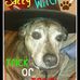 Sally Winn - Facebook