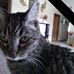 Sally Wolfe - Facebook