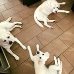 Sally Wolfe - @wolfe_sally - Instagram