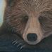 Sally Wolfe Canadian Artist - Facebook