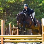 Sally Wolff - @sallywolff.eq - Instagram