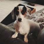 Sally Wolff Lynd - @salynd70 - Instagram