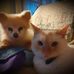 Sally Workman - Facebook