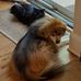 Sally Snider Yost - Facebook