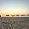 sallyzhang472 - @sallyzhang472 - TikTok