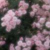 Salma Benjamin - @salma_benjamin123 - TikTok