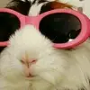 salma.castro - @salma.castro - TikTok
