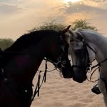 Salmita Salma - @salma_chen1 - Instagram