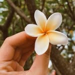 Salma Haque - @salma.haque.1272 - Instagram