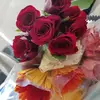 Salma Haque - @স্পর্শতারবাড়ীতুম - TikTok
