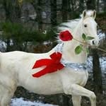 Salma Hatim - @salmahatim_ - Instagram
