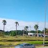 salma hatim - @salma_hatim0 - TikTok