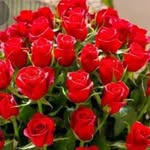 Salma،Murad - @salmamurad9241 - Instagram