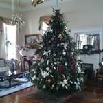 Salma Polanco - @salmapolanco - Instagram