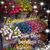 Sulma Polanco Hurtado - Facebook