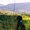 salma singh - @salmathaquree44 - TikTok